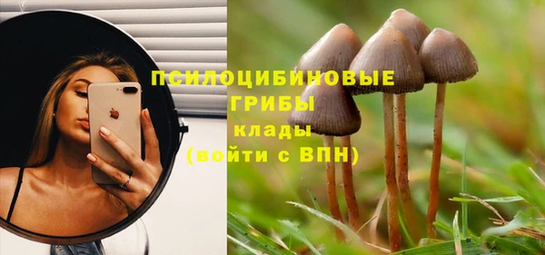 шишки Баксан