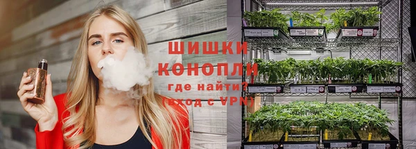 шишки Баксан