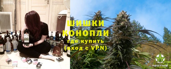 шишки Баксан