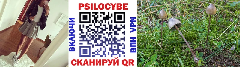 Галлюциногенные грибы Cubensis  Мглин 